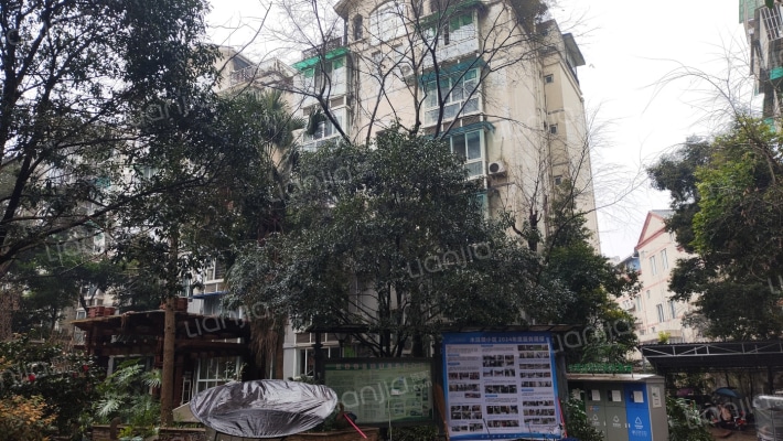 愿景水涟漪外景图