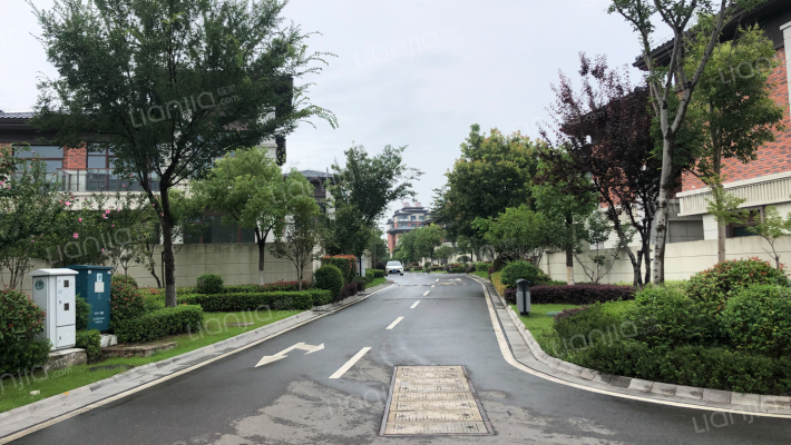 郦湖美墅外景图