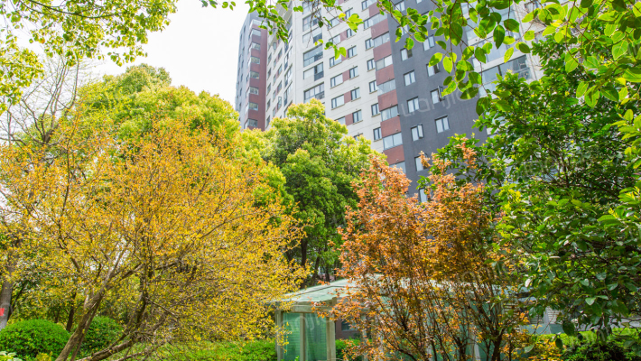 金地格林世界(高尔夫公馆)外景图