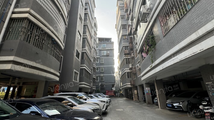 荔红小区外景图