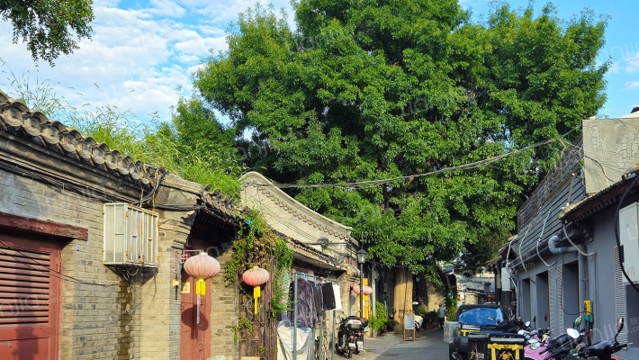 大石碑胡同外景图