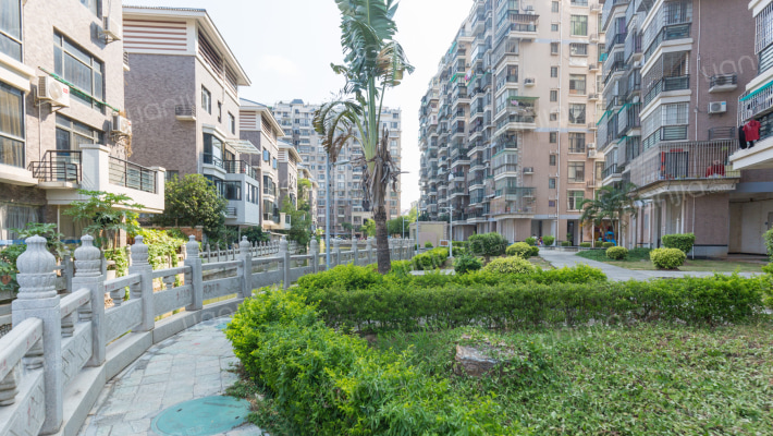 古龙明珠外景图