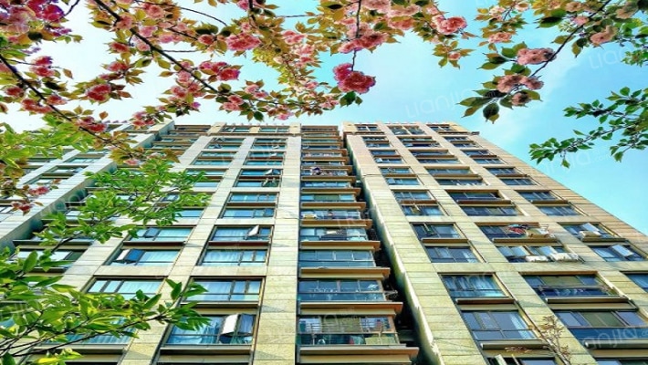 阳光花城外景图