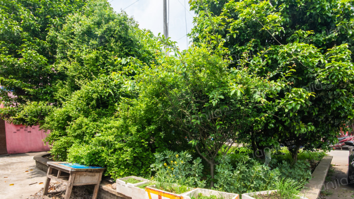 白虎堂巷10号外景图