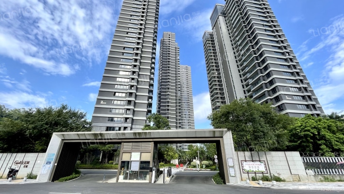 融信上江城E区外景图