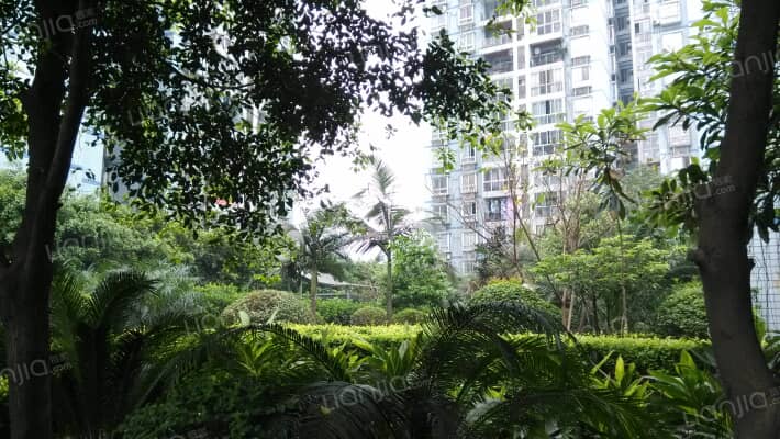 田野玉竹小区外景图