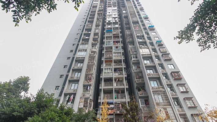 仁有逸景外景图