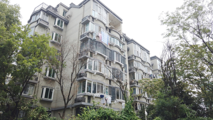 九龙新寓外景图