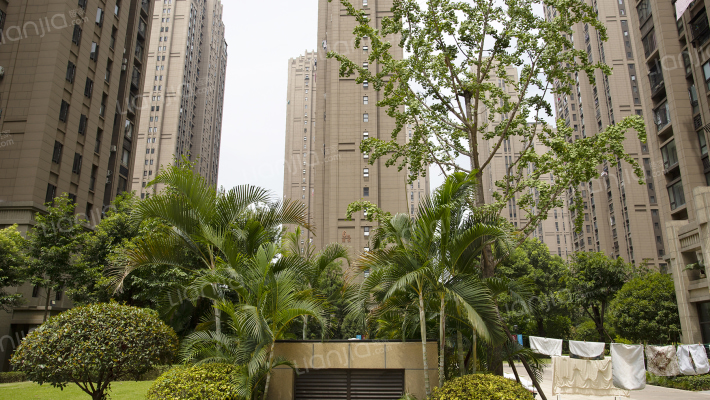 保利香槟外景图