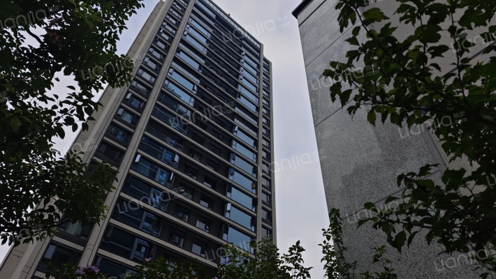 中交鹭鸣九章外景图