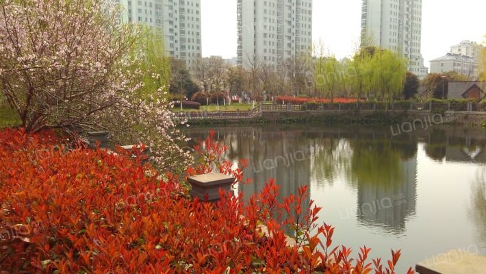 新安花苑二区外景图