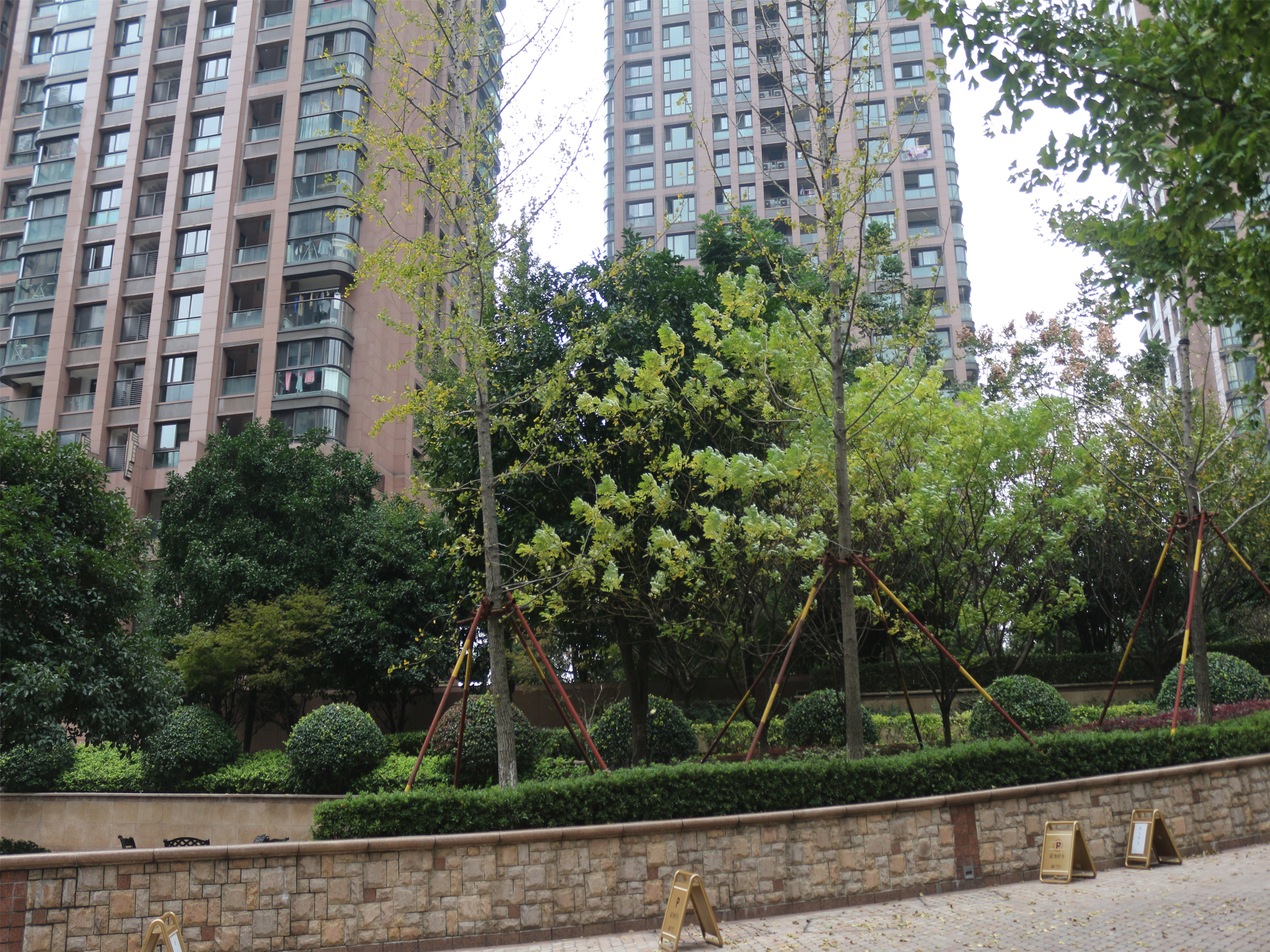 Rainbow Luxury compound photo 12