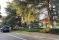 金城绿苑(别墅)户型图实景图
