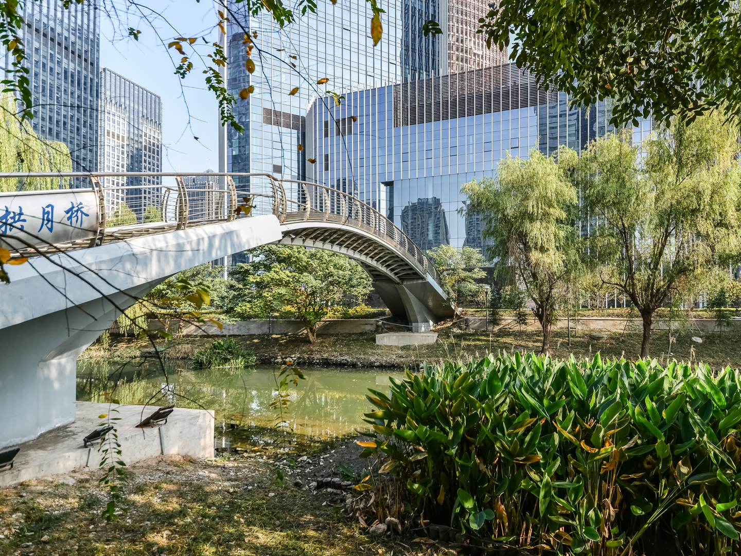 Shi Bao International compound photo 16