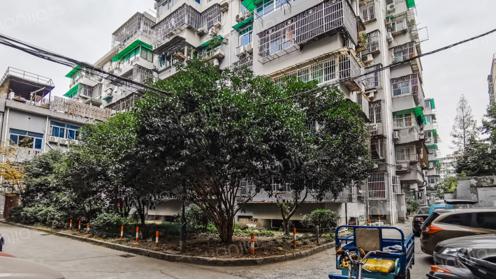 江城路318号外景图