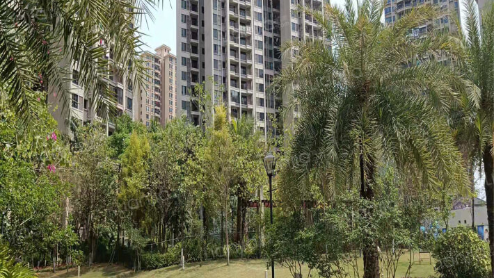 西福蓝湾外景图