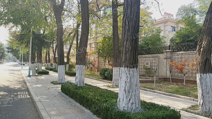 京蓬别墅外景图