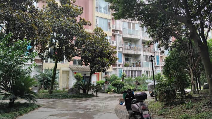 新兴花园外景图