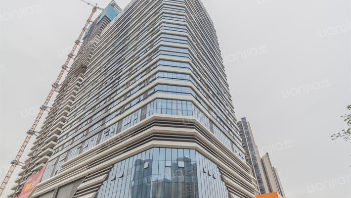 天奕丽兹公馆外景图