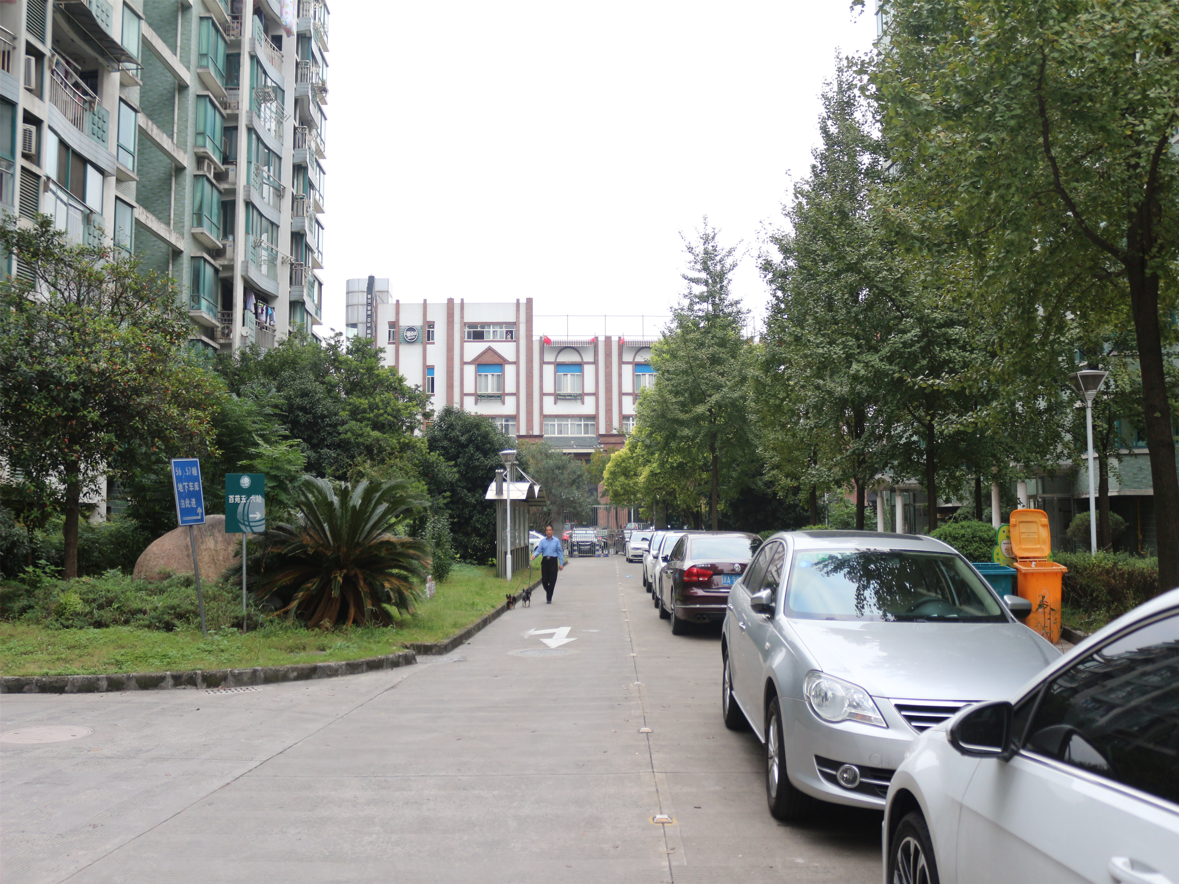 中兴花园小区实景 12