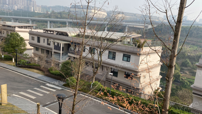 万科十七英里江入园外景图