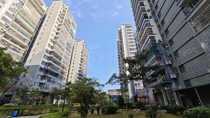 罗浮花园外景图