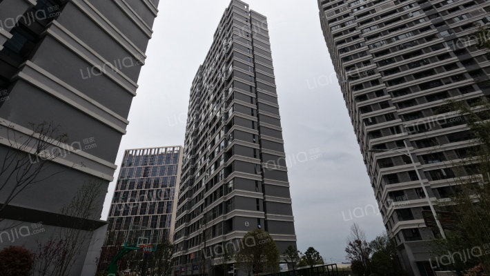 碧桂园星荟外景图