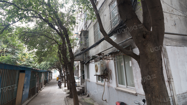 金粟庵路外景图