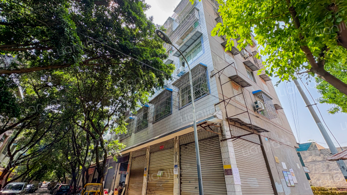 八一路4号外景图