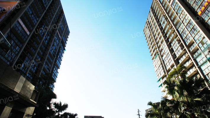 万树森林三期外景图