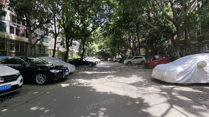 金阳丽景外景图