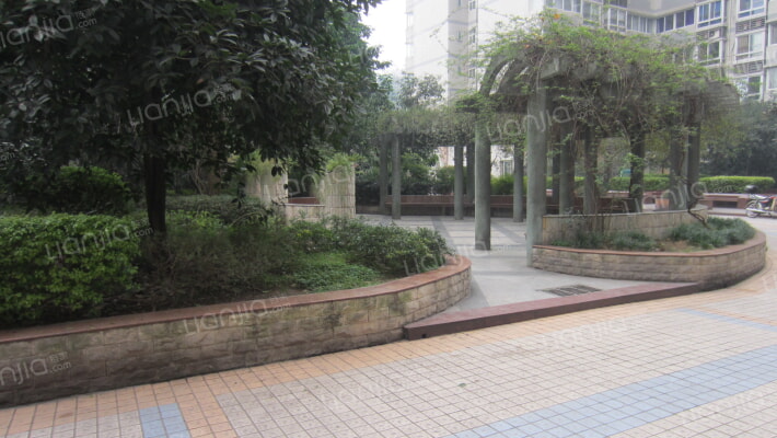 柏树林10到12号外景图