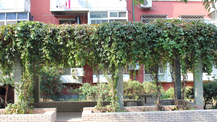 新开路16号院外景图