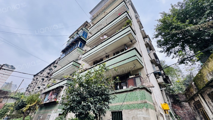 长石村12号外景图