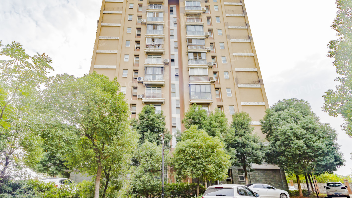 宜家龙臣外景图