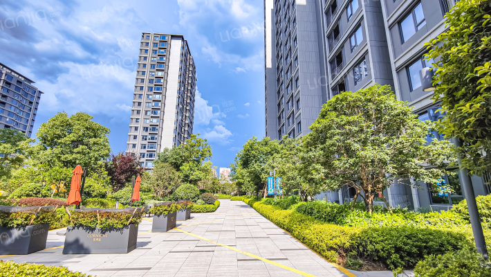 滨悦华庭外景图