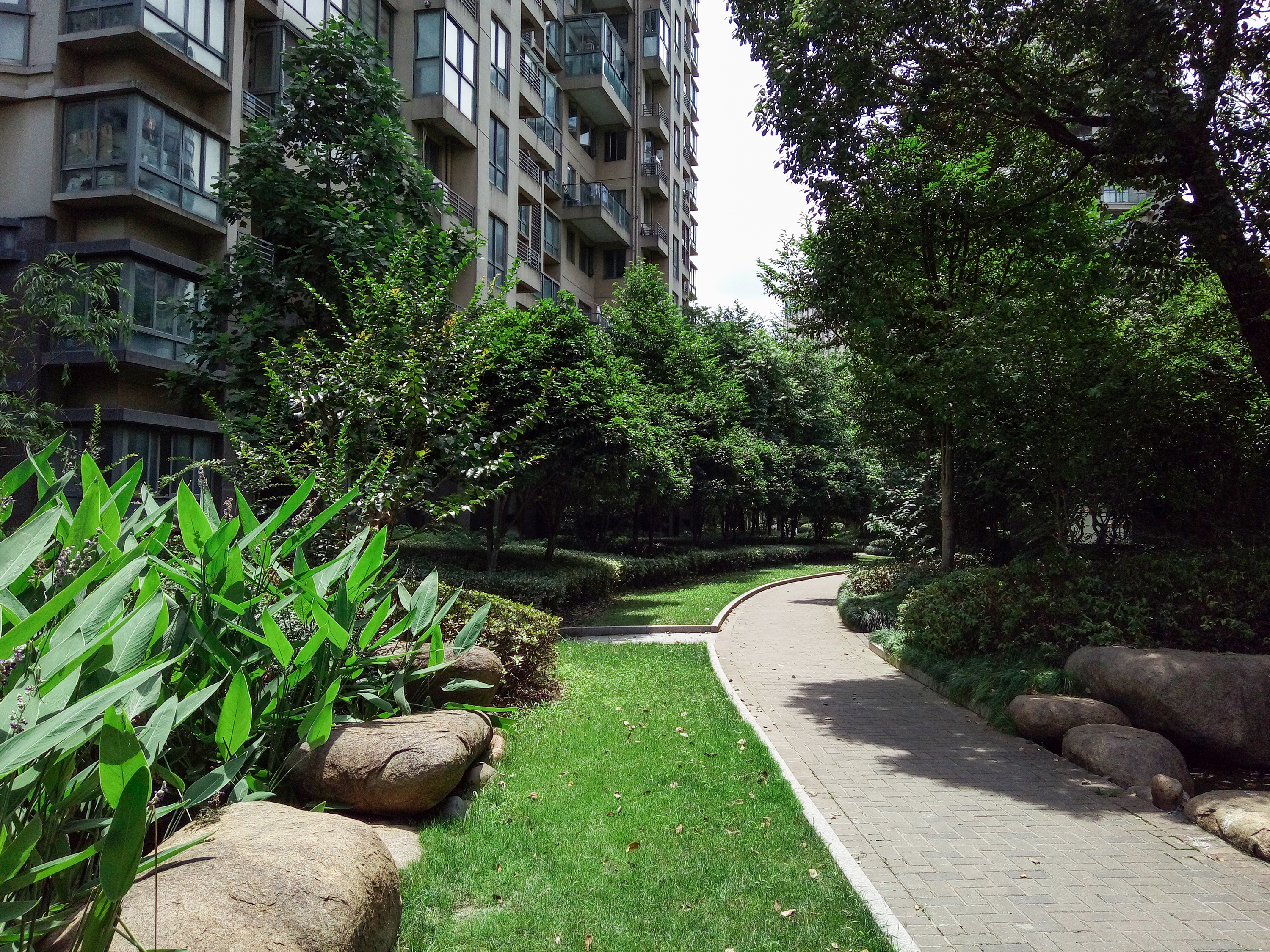 红街公寓小区实景 10