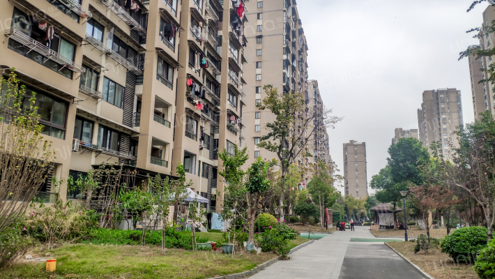 湾南德盛东苑外景图