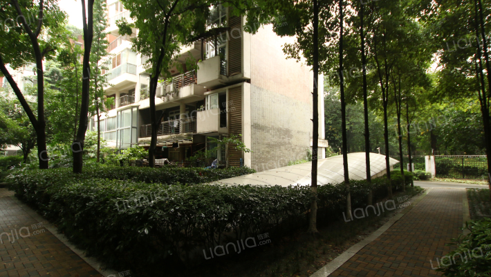 上林宽境外景图