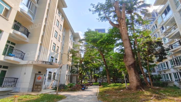 卓达热带雨林椰风苑外景图