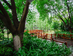 碧园•印象桂林实景图