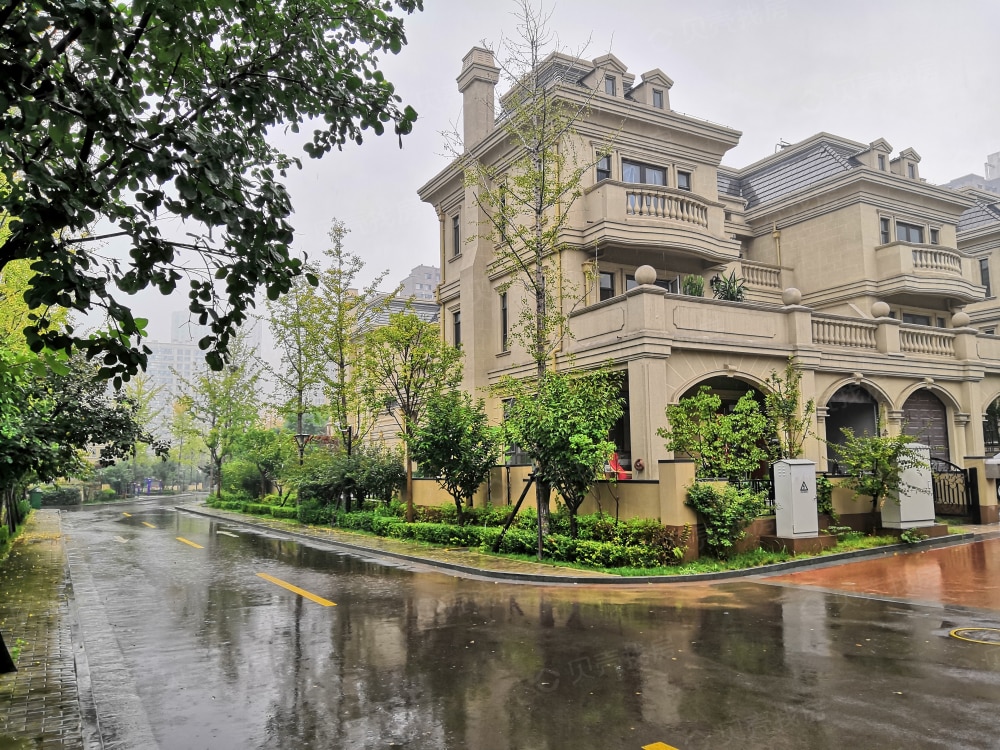 济南最贵的别墅图片