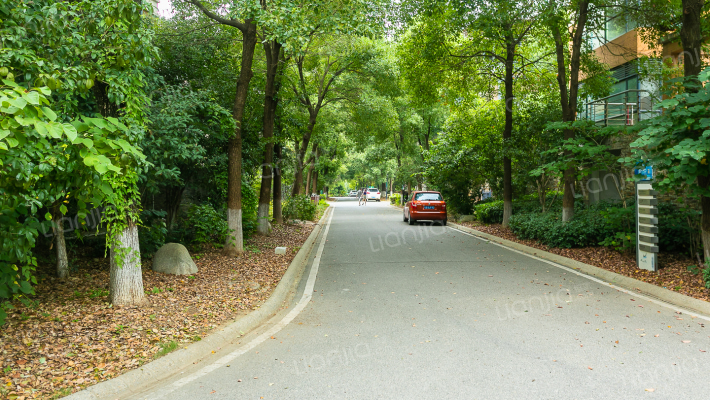 金地格林春岸世家别墅外景图