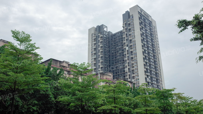 风临国际东座外景图