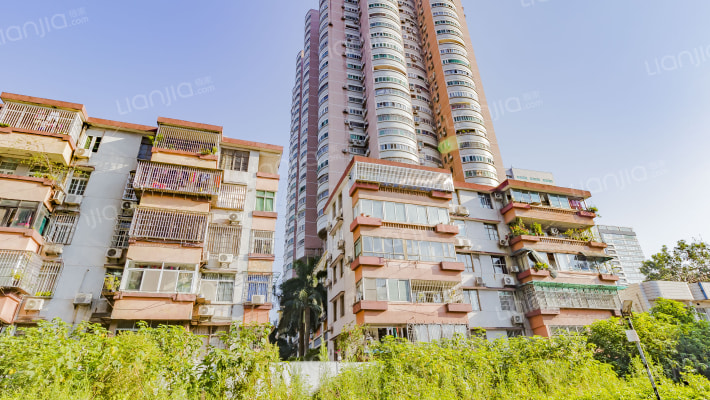 瑞华大厦外景图