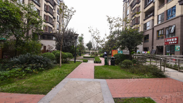 朵力迎宾大道外景图