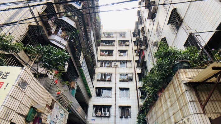 跃进路小区外景图