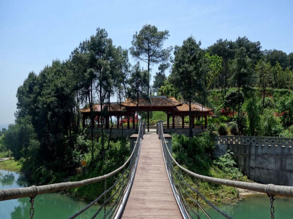 财信赖特与山相册