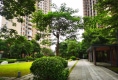 肇庆宝能城户型图实景图