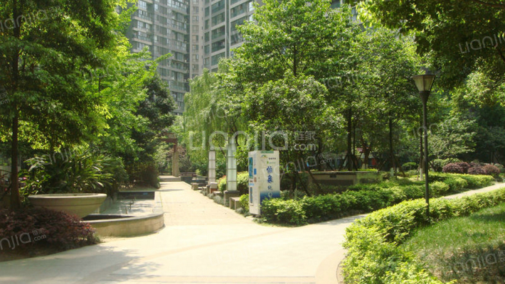 中铁西子香荷外景图